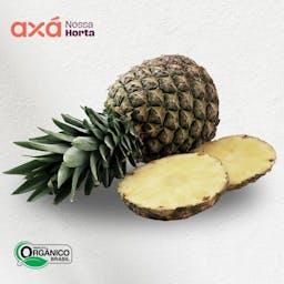 Abacaxi Pequeno Orgânico Und Nossa Horta Axá Organicos 