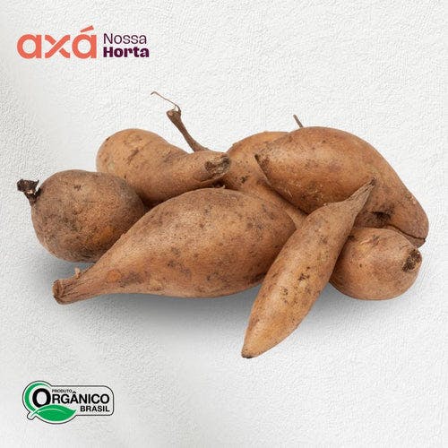 Batata Yacon Orgânica 600g Nossa Horta Axá Organicos 