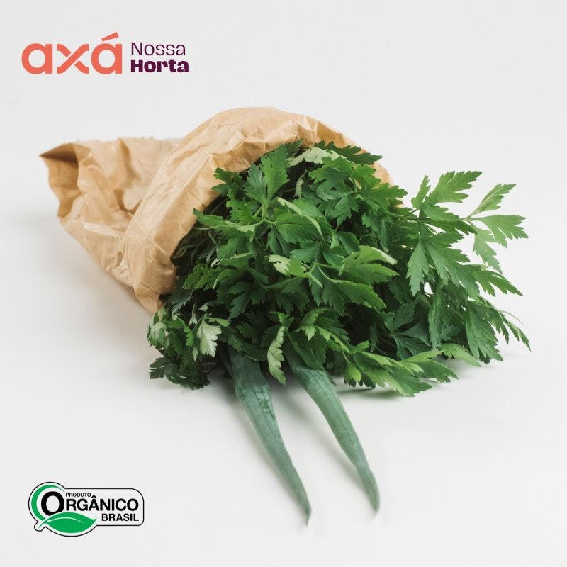 Cheiro Verde Orgânico Und Nossa Horta Axá Organicos 