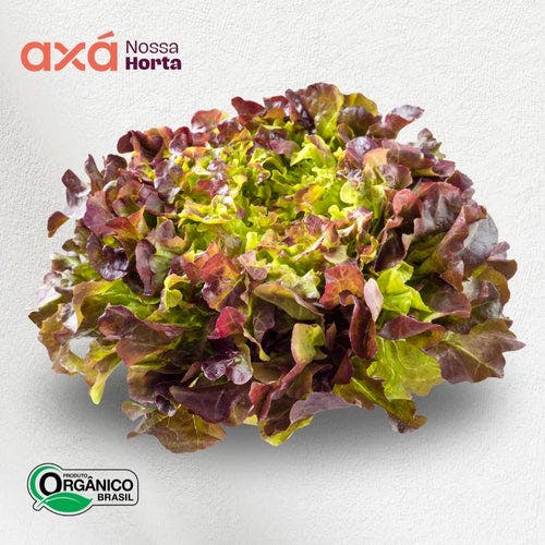 Alface Roxa Orgânica Und Nossa Horta Axá Organicos 