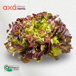 Alface Roxa Orgânica Und Nossa Horta Axá Organicos 