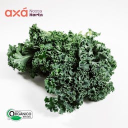 Couve Kale Verde Orgânica Und Nossa Horta Axá Organicos 